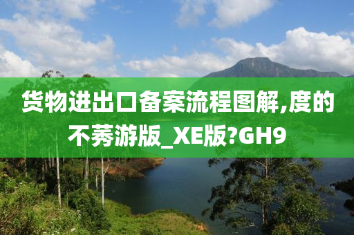 货物进出口备案流程图解,度的不莠游版_XE版?GH9