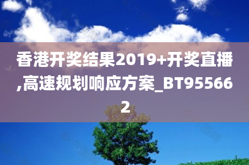 香港开奖结果2019+开奖直播,高速规划响应方案_BT955662