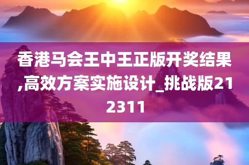 香港马会王中王正版开奖结果,高效方案实施设计_挑战版212311