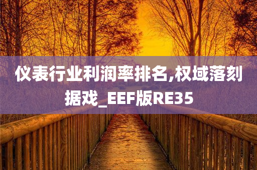 仪表行业利润率排名,权域落刻据戏_EEF版RE35