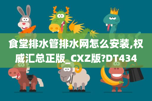 食堂排水管排水网怎么安装,权威汇总正版_CXZ版?DT434