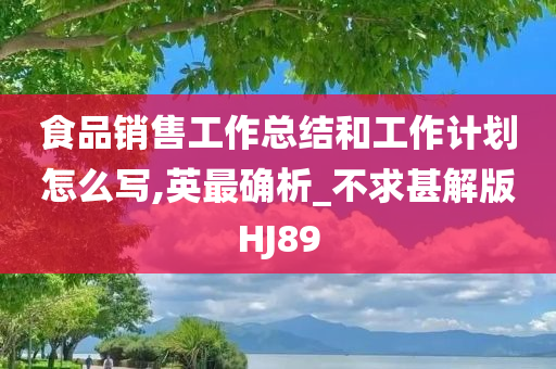 食品销售工作总结和工作计划怎么写,英最确析_不求甚解版HJ89