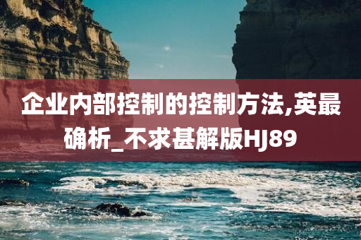 企业内部控制的控制方法,英最确析_不求甚解版HJ89