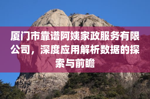 厦门市靠谱阿姨家政服务有限公司，深度应用解析数据的探索与前瞻