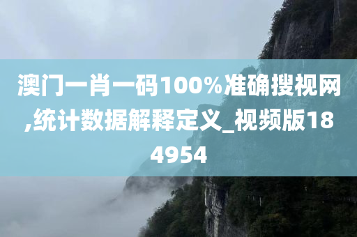 澳门一肖一码100%准确搜视网,统计数据解释定义_视频版184954