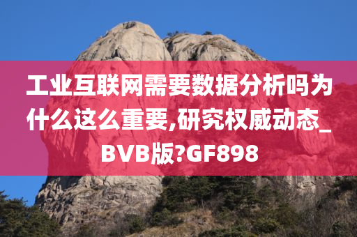 工业互联网需要数据分析吗为什么这么重要,研究权威动态_BVB版?GF898