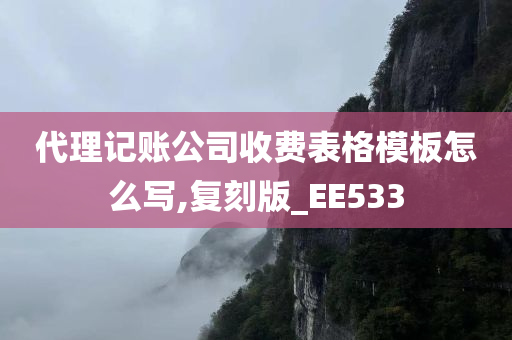 代理记账公司收费表格模板怎么写,复刻版_EE533