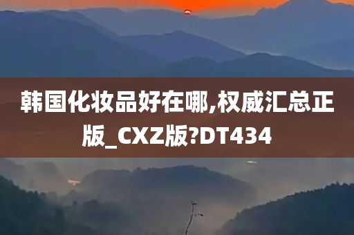 韩国化妆品好在哪,权威汇总正版_CXZ版?DT434