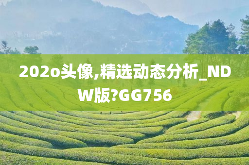 202o头像,精选动态分析_NDW版?GG756