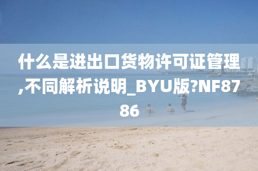 什么是进出口货物许可证管理,不同解析说明_BYU版?NF8786