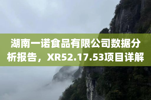 湖南一诺食品有限公司数据分析报告，XR52.17.53项目详解