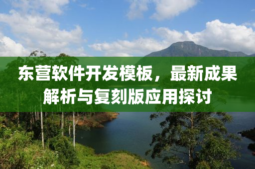 东营软件开发模板，最新成果解析与复刻版应用探讨