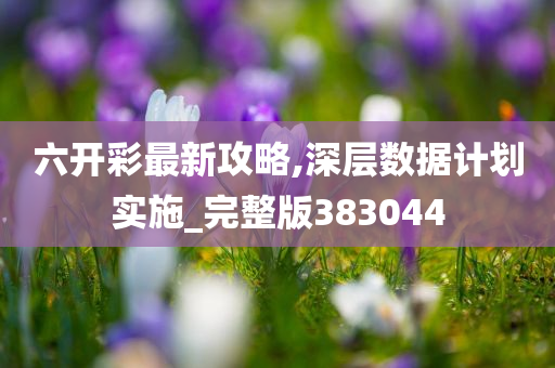 六开彩最新攻略,深层数据计划实施_完整版383044