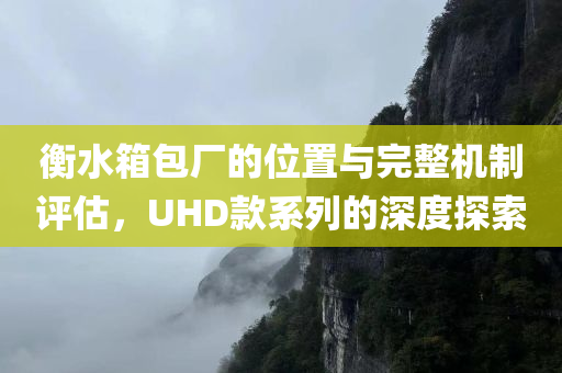 衡水箱包厂的位置与完整机制评估，UHD款系列的深度探索