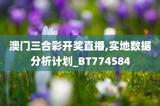 澳门三合彩开奖直播,实地数据分析计划_BT774584