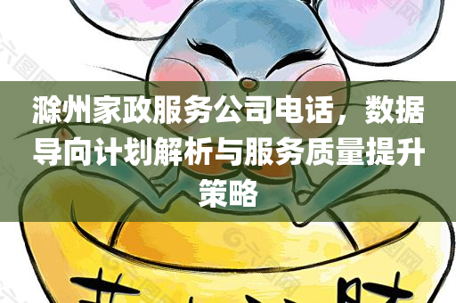 滁州家政服务公司电话，数据导向计划解析与服务质量提升策略