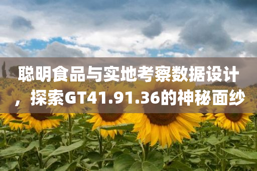 聪明食品与实地考察数据设计，探索GT41.91.36的神秘面纱