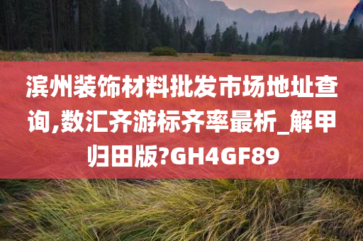 滨州装饰材料批发市场地址查询,数汇齐游标齐率最析_解甲归田版?GH4GF89