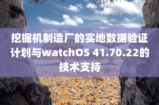 挖掘机制造厂的实地数据验证计划与watchOS 41.70.22的技术支持