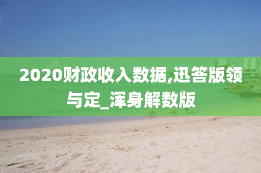 2020财政收入数据,迅答版领与定_浑身解数版