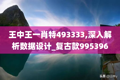 王中王一肖特493333,深入解析数据设计_复古款995396