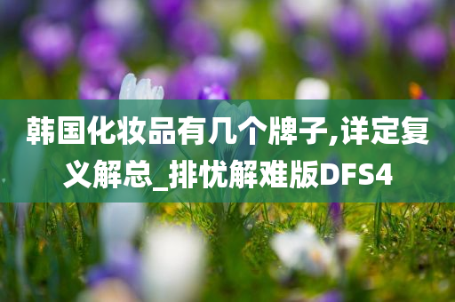 韩国化妆品有几个牌子,详定复义解总_排忧解难版DFS4