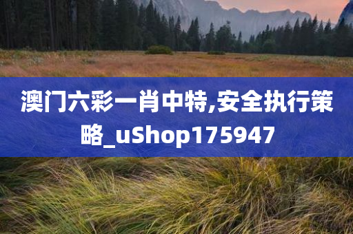 澳门六彩一肖中特,安全执行策略_uShop175947