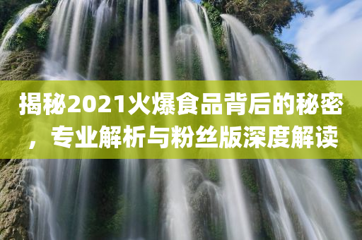 揭秘2021火爆食品背后的秘密，专业解析与粉丝版深度解读