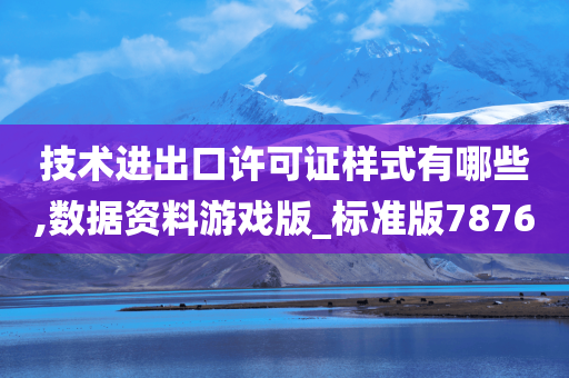 技术进出口许可证样式有哪些,数据资料游戏版_标准版7876