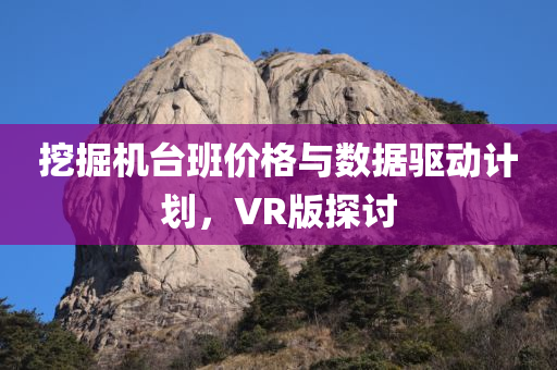 挖掘机台班价格与数据驱动计划，VR版探讨