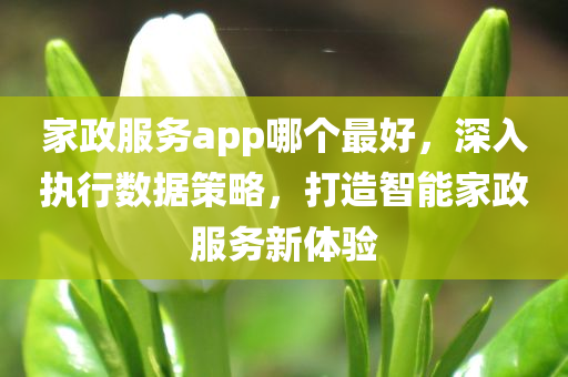 家政服务app哪个最好，深入执行数据策略，打造智能家政服务新体验