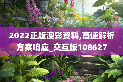 2022正版澳彩资料,高速解析方案响应_交互版108627