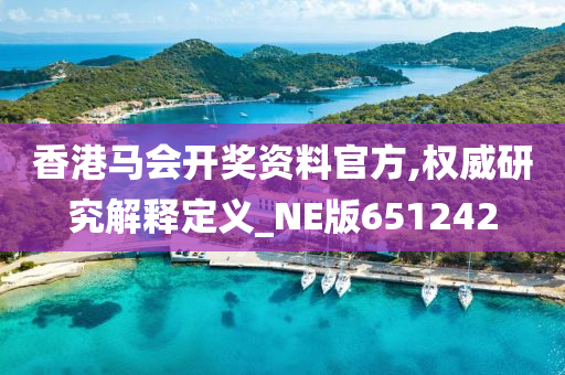 香港马会开奖资料官方,权威研究解释定义_NE版651242