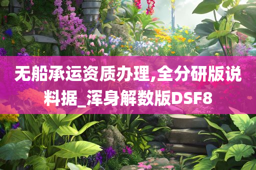 无船承运资质办理,全分研版说料据_浑身解数版DSF8