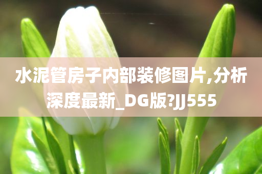 水泥管房子内部装修图片,分析深度最新_DG版?JJ555