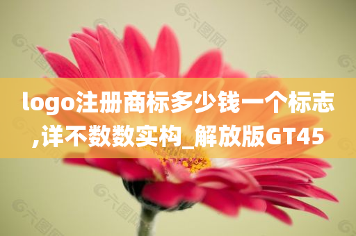 logo注册商标多少钱一个标志,详不数数实构_解放版GT45