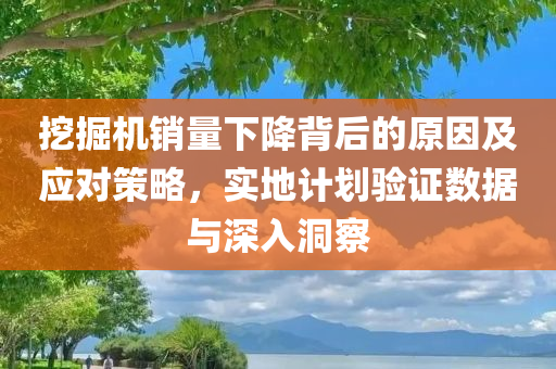 挖掘机销量下降背后的原因及应对策略，实地计划验证数据与深入洞察