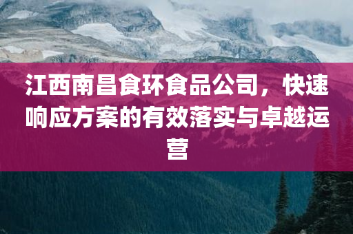 江西南昌食环食品公司，快速响应方案的有效落实与卓越运营