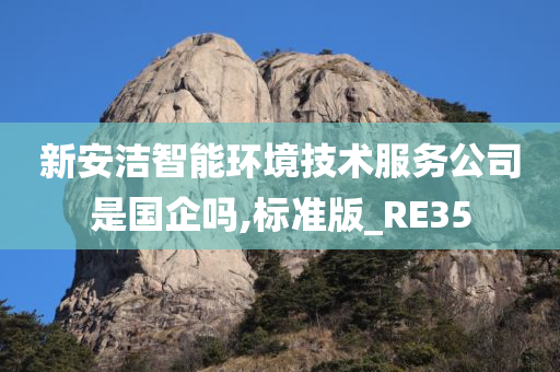 新安洁智能环境技术服务公司是国企吗,标准版_RE35