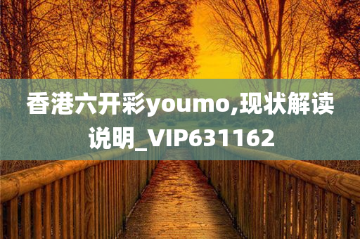 香港六开彩youmo,现状解读说明_VIP631162