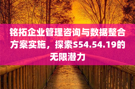 铭拓企业管理咨询与数据整合方案实施，探索S54.54.19的无限潜力