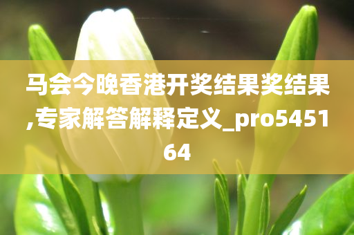 马会今晚香港开奖结果奖结果,专家解答解释定义_pro545164