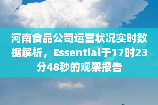 河南食品公司运营状况实时数据解析，Essential于17时23分48秒的观察报告