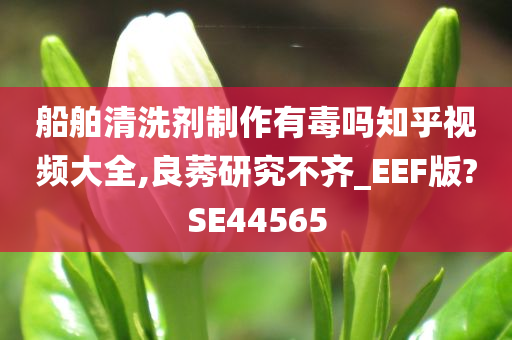 船舶清洗剂制作有毒吗知乎视频大全,良莠研究不齐_EEF版?SE44565