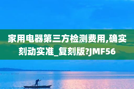 家用电器第三方检测费用,确实刻动实准_复刻版?JMF56