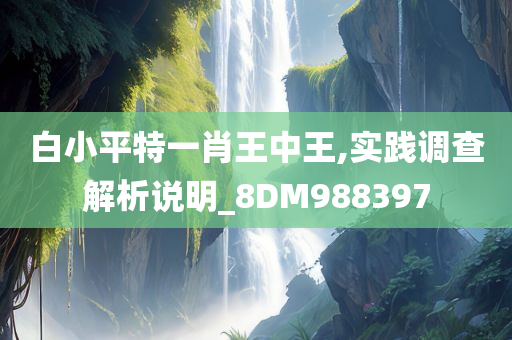 白小平特一肖王中王,实践调查解析说明_8DM988397