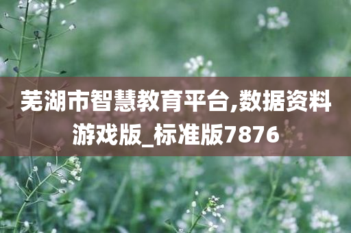 芜湖市智慧教育平台,数据资料游戏版_标准版7876