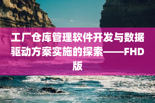 工厂仓库管理软件开发与数据驱动方案实施的探索——FHD版