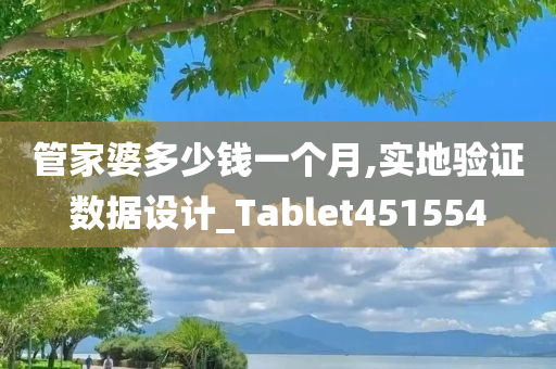 管家婆多少钱一个月,实地验证数据设计_Tablet451554