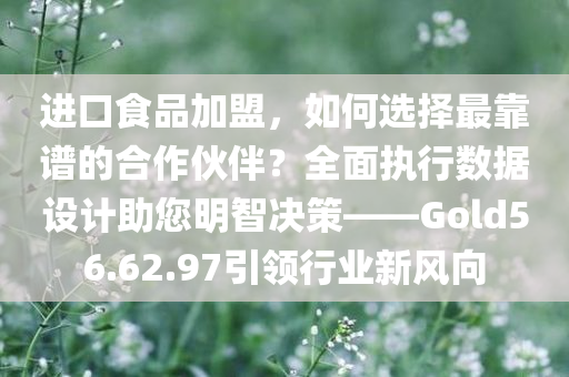 进口食品加盟，如何选择最靠谱的合作伙伴？全面执行数据设计助您明智决策——Gold56.62.97引领行业新风向